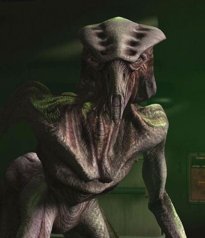 File:Species8472.jpg