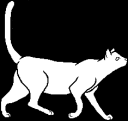 File:Shorthaired cat.png