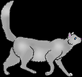 Thumbnail for version as of 16:15, August 27, 2011