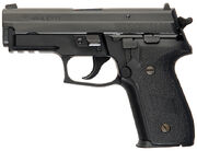 SIG-SauerP229R
