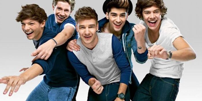 One-direction-cropped