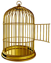 Cage