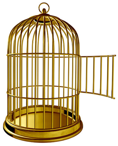 File:Cage.jpg