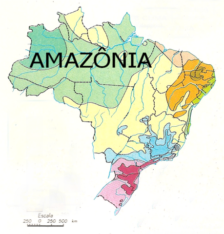 Arquivo:AmaZonia 001.png