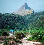 Pico da Neblina.jpg