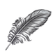 Item thum 204