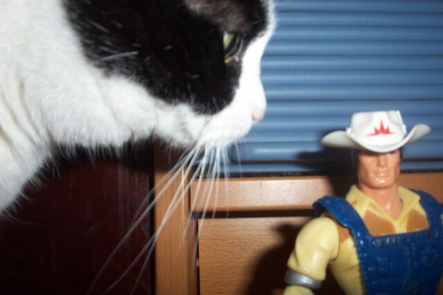 File:BraveStarr 0003.jpg