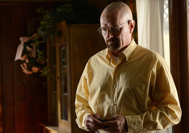 File:Episode-8-walt-034571-23459087-1934857015-654943546548-64565.jpg