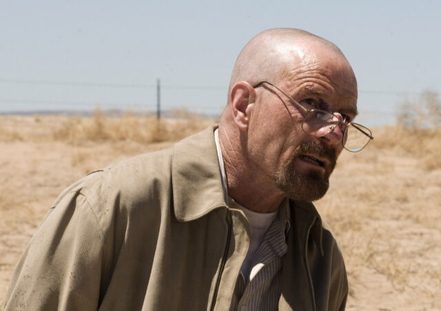 File:Ep11-walt.jpg