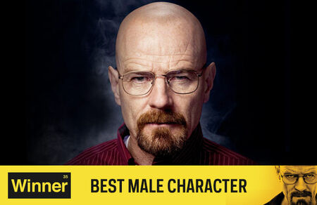 BB AwardFrame BestMale