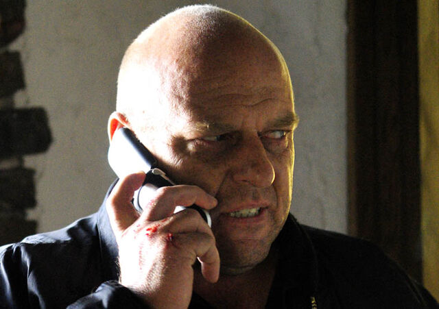 File:Episode-7-Hank-760.jpg