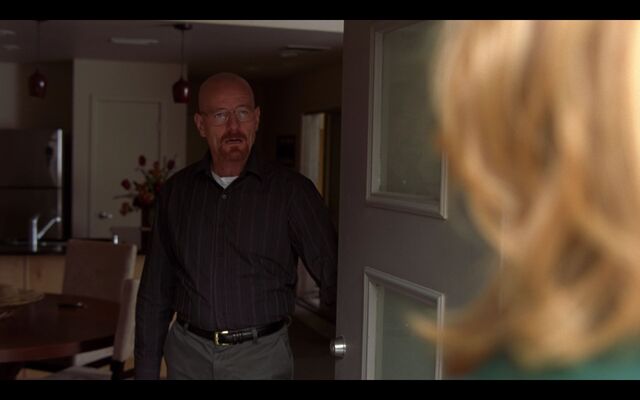 File:Walt's second Apartment -4.jpg