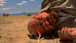 4x11 - Walter tirado.png