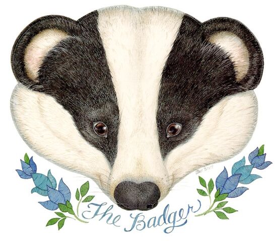 File:The badger.jpg