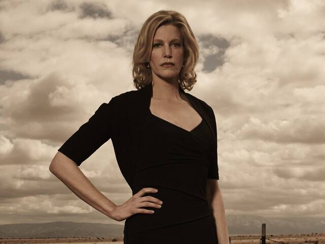 File:Cast bb 800x600 skyler-white.jpg