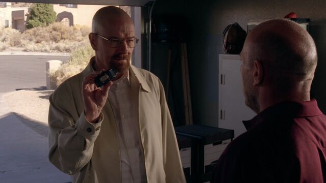 File:5x09 WaltAndTheBug.jpg