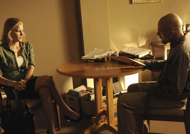 File:Episode-1-Skyler-Walt-760.jpg