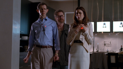 5x16 - Felina 3.png