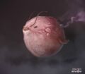 Thumbnail for version as of 19:49, April 28, 2012