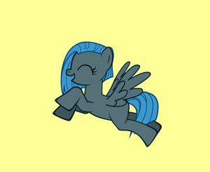 June Gloom Pony Flying