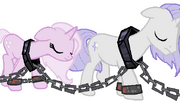 Captured Ixhelcan Ponies