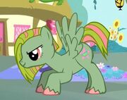 Lime-Shot2