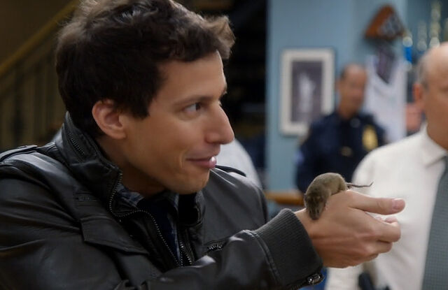 File:Algernon.jpg