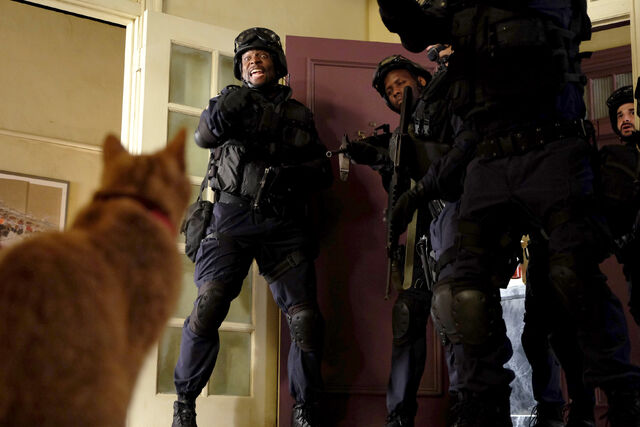 File:TerryKitties.jpg