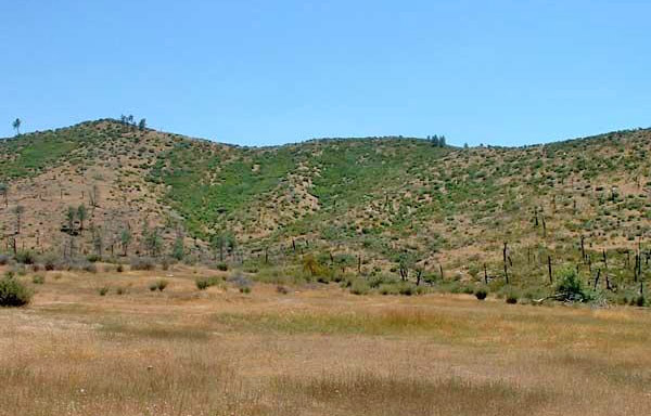 Sonora, California | Futurepedia | FANDOM powered by Wikia
