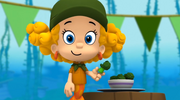 Fruit Camp N