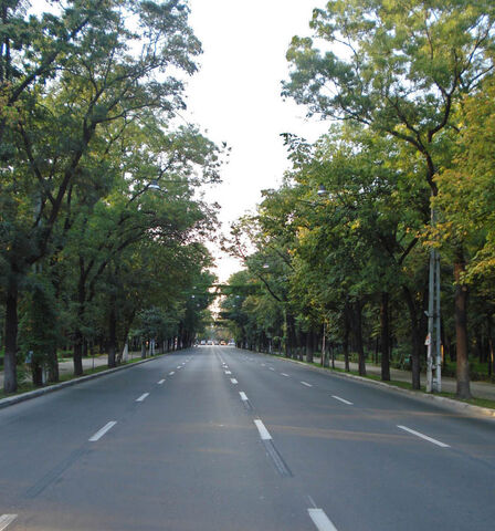 Fișier:Soseaua Kiseleff.jpg