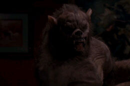 Lycanthropus