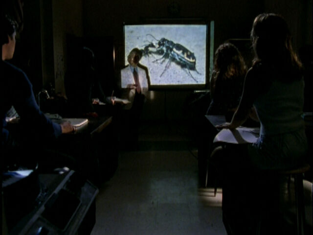 File:1X04PET0089.jpg