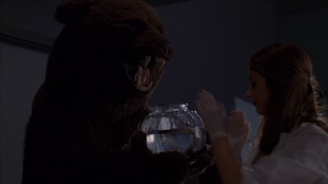 File:Bear.jpg