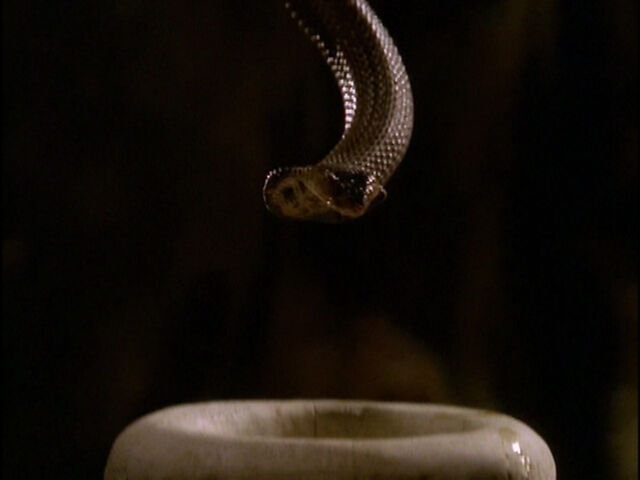 File:5X08SHAD1453.jpg