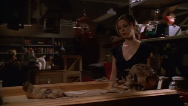 File:Magic-Box-Basement.jpg