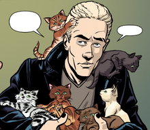Six cats-0