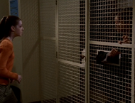 Cage