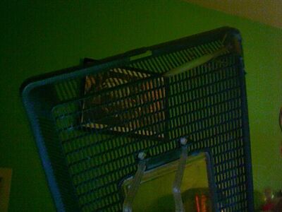 Photo 69
