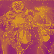 Lunapic 132107287972789 17