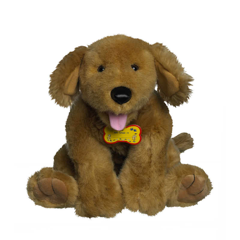 build a golden retriever golden retriever gallery build a fans wiki fandom powered by wikia build a golden retriever golden retriever gallery build a fans wiki fandom powered by wikia