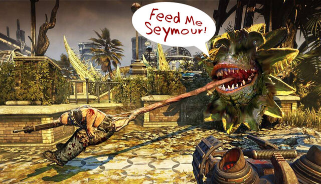 File:Seymour.jpg