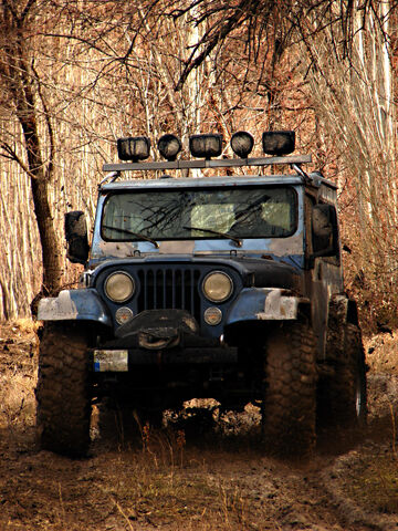 檔案:Offroad Jeep 05760 2.jpg