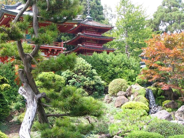 檔案:Japaneseteagardensf.jpg
