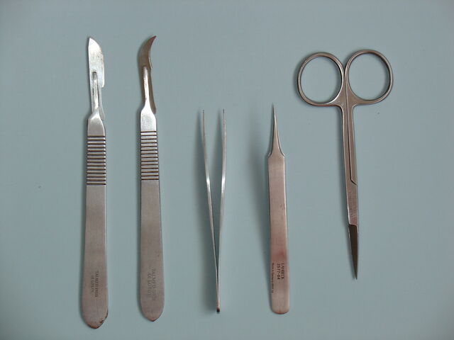 檔案:Dissection tools.jpg