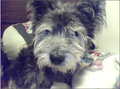 Thumbnail for version as of 12:03, July 24, 2011