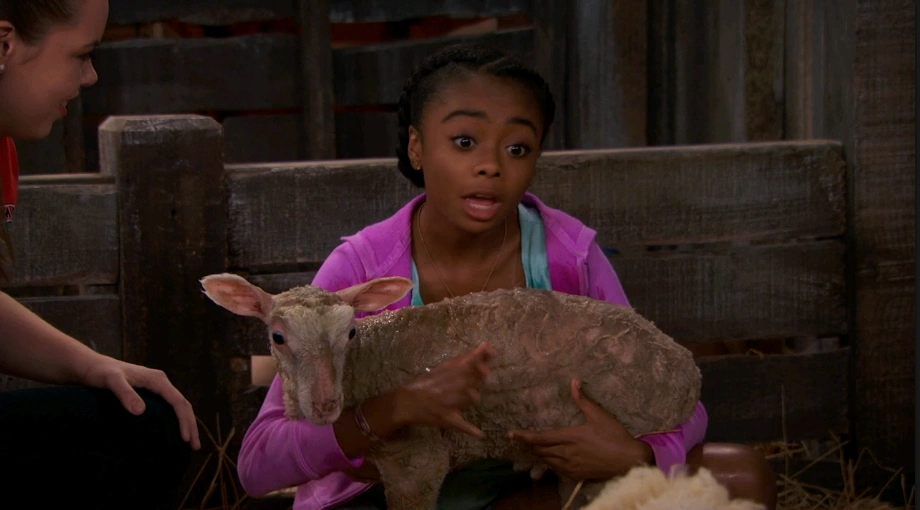 Zuri Has a Little Lamb Bunk'd Wiki FANDOM powered by Wikia