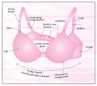 Anatomy-of-a-bra