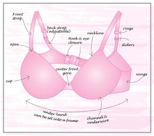 File:Anatomy-of-a-bra.jpg