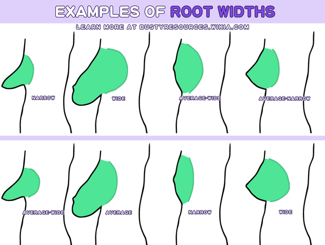 File:Root-width-examples.png